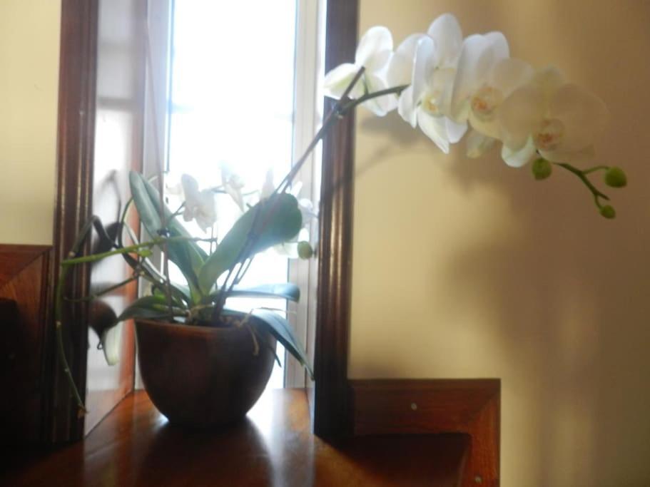 Jp Guest House Aveiro Ngoại thất bức ảnh